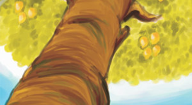 أختي، أختي لمَ لا تسقط الأشياء للأعلى؟