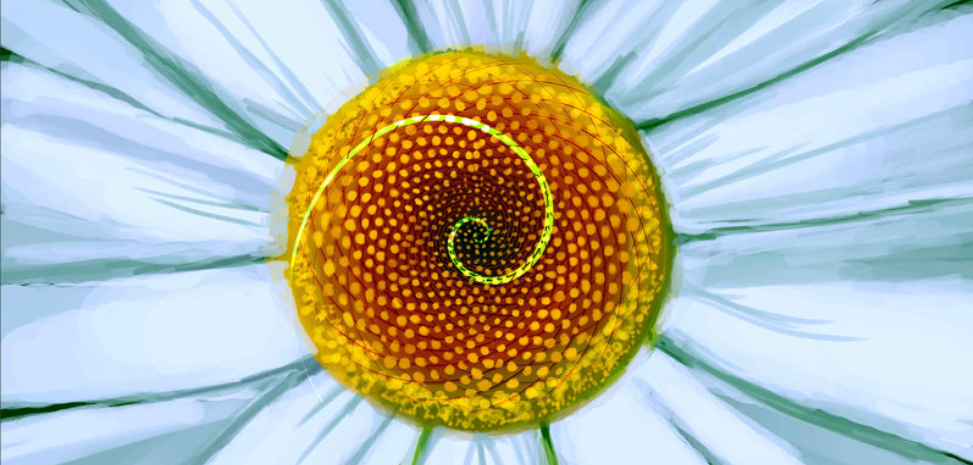 أعدادُ فيبوناتشي المذهلة