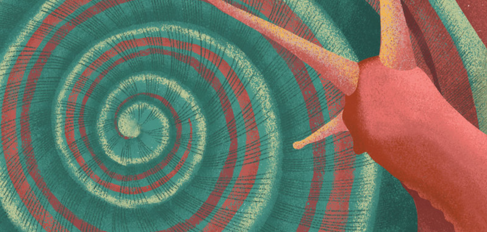 بيوت الحيوانات