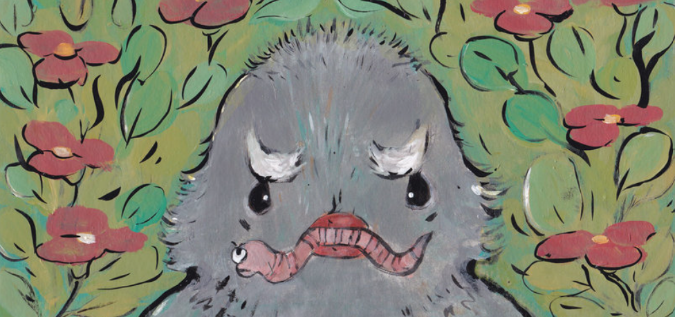 صغيري العبوس