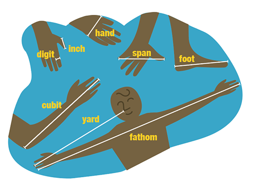 BEAUTY IN SHAPES AND MEASUREMENTS (Level 1)
