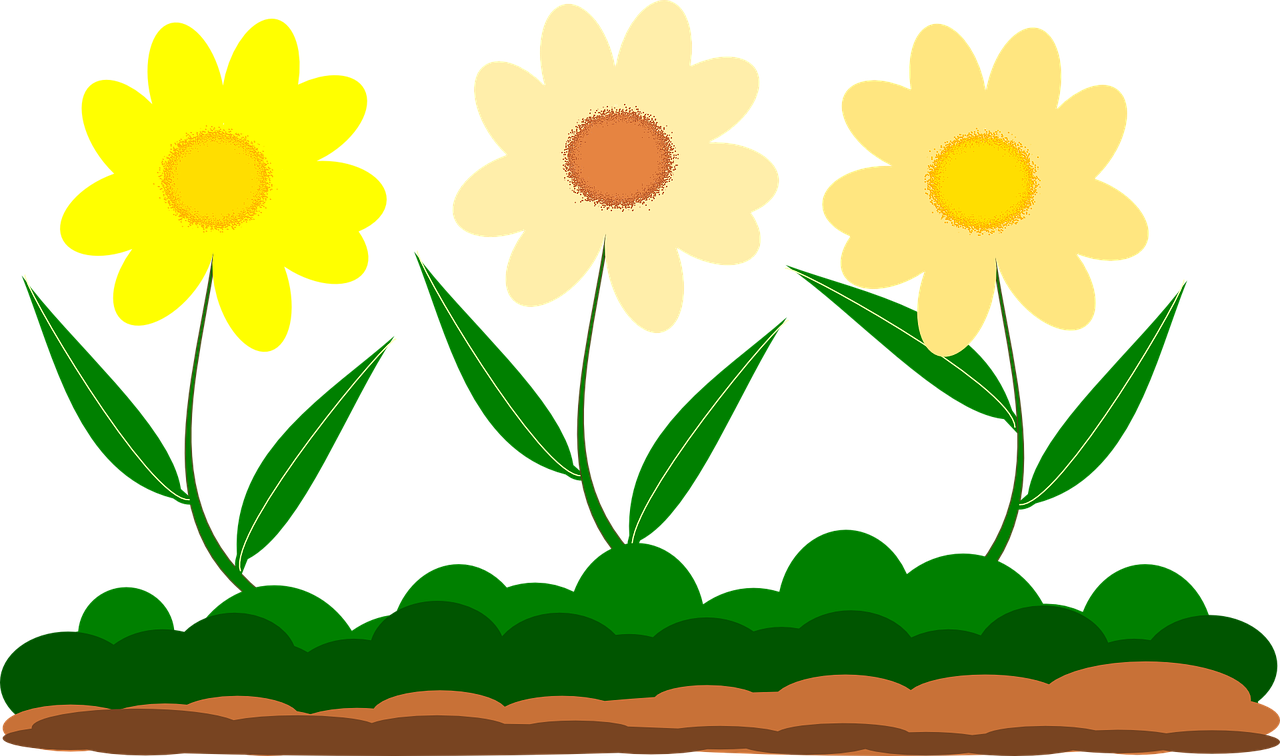 Mini Garden (Level 3)